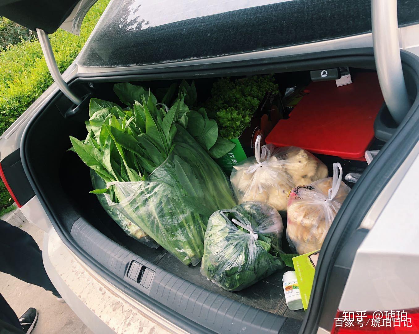 后备箱的春食