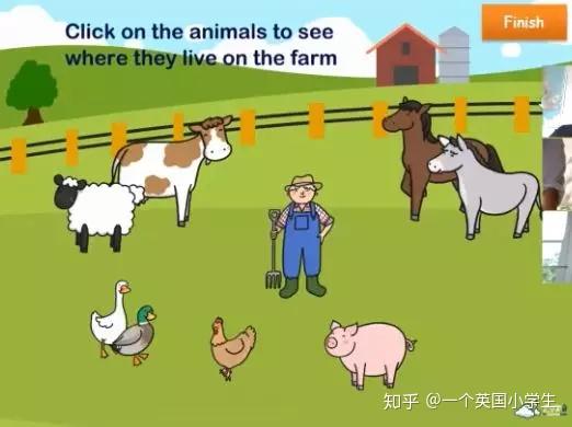 和英伦云小学的孩子一起来认识动物farmanimals