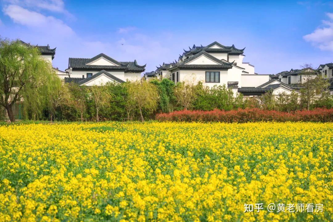 这座蓝城特色小镇让人心动了 - 知乎