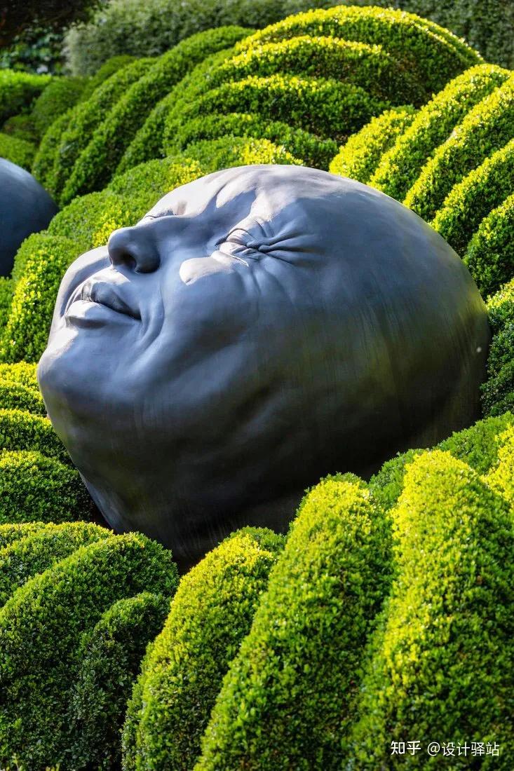 呆萌呆萌的植物雕塑,萌化了多少人 - 知乎