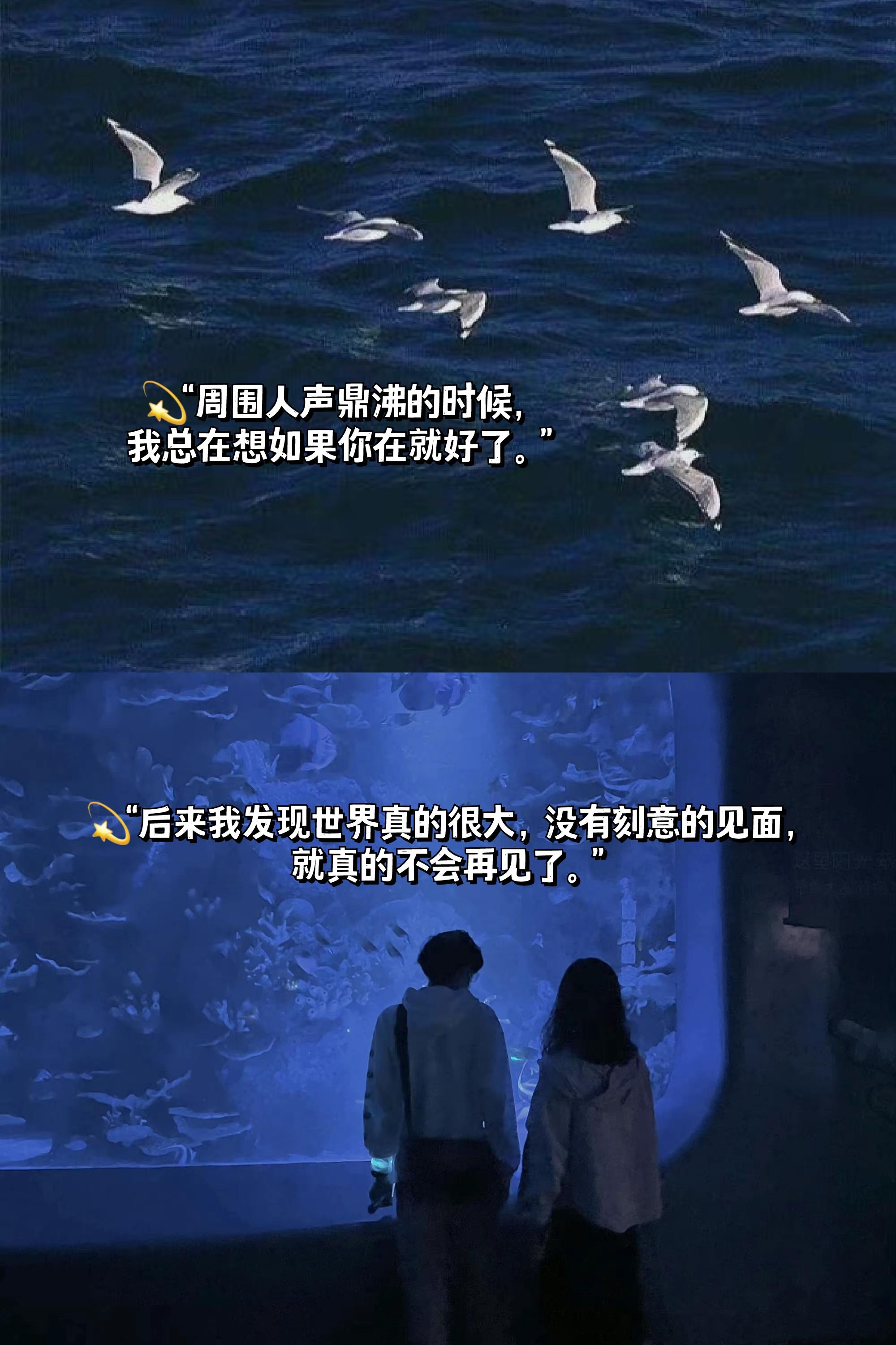 文案关于错过和遗憾你会怎样描写遗憾