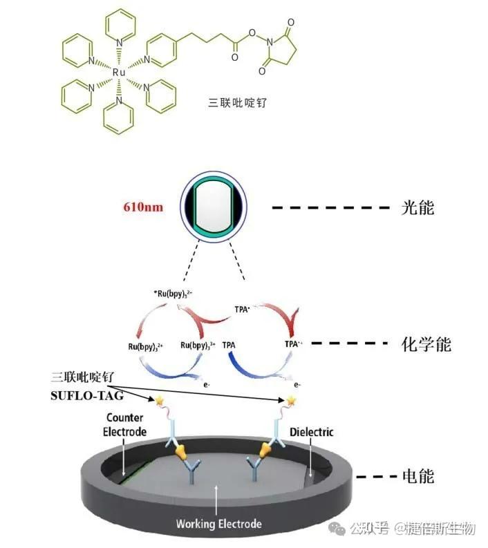 3种常用化学发光法简介 - 知乎