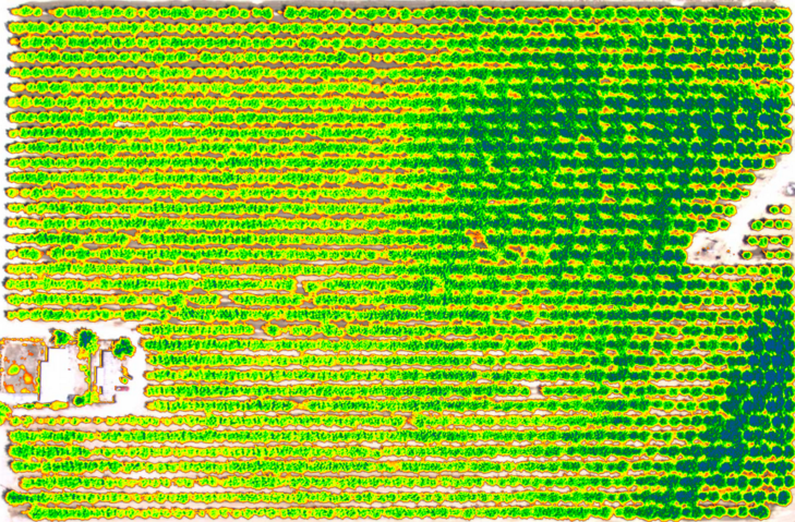 无人机多光谱相机在农业应用中产生巨大好处