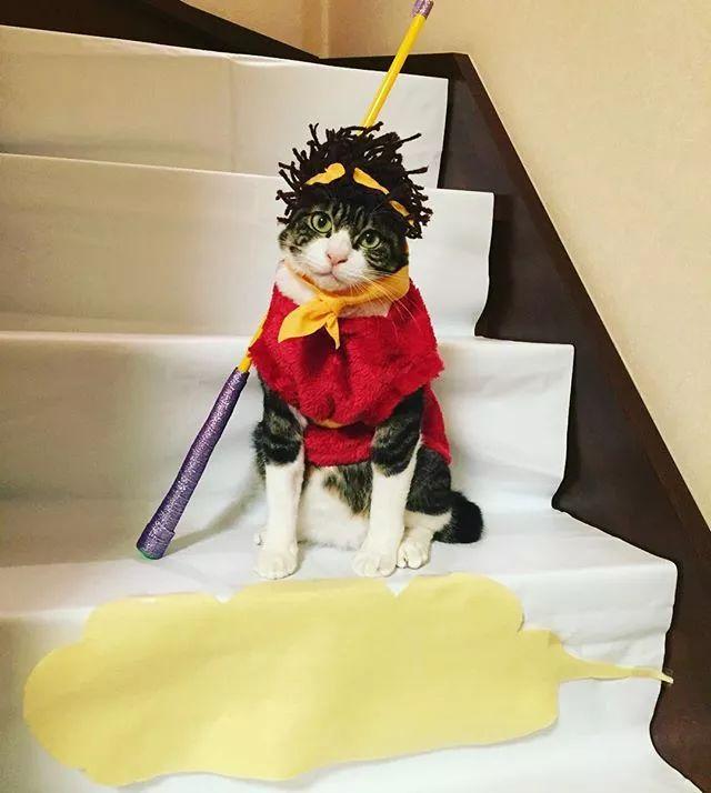 悟空▼魔女宅急便喵请问您有什么需要帮助的吗▼或许,你需要招财猫吗