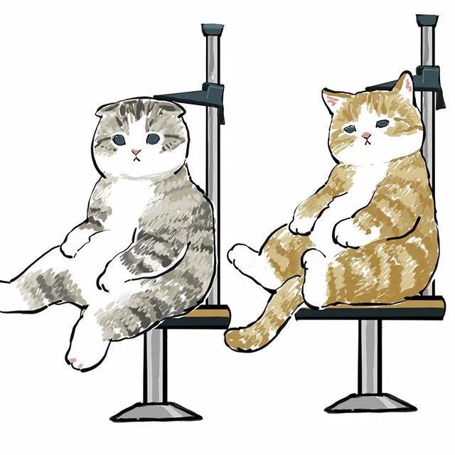 158张网红量腰围猫最全合集图