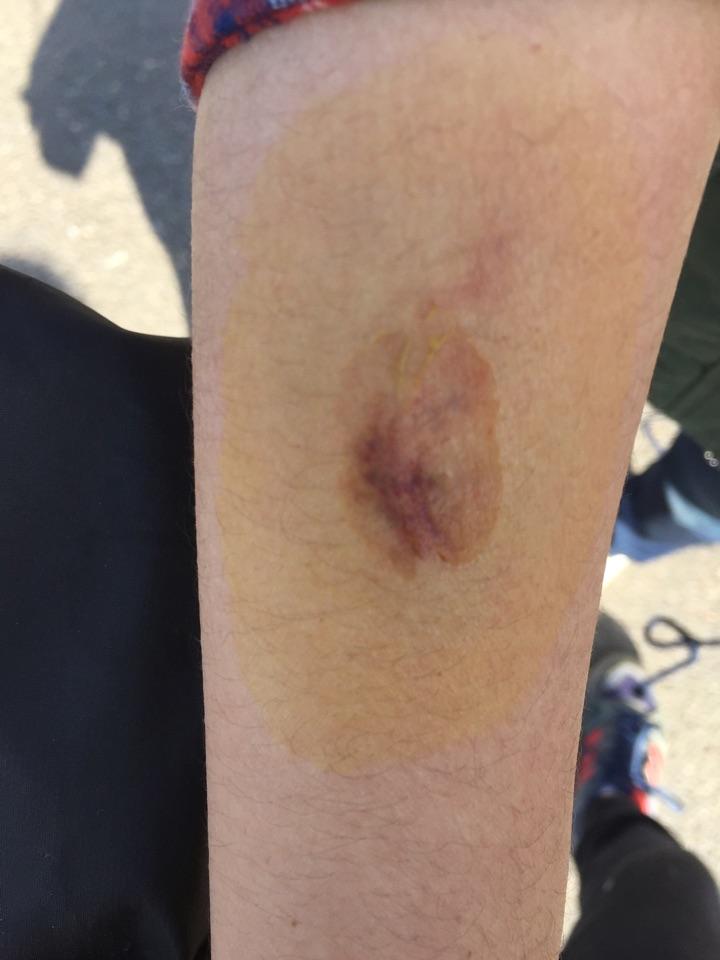 本以为发生老虎咬人事件后,八达岭野生动物园管理会有起色.