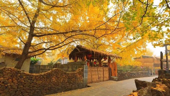 边陲小城——腾冲旅游攻略 知乎