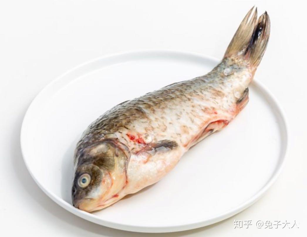 鱼肉饮食图片大全-鱼肉饮食高清图片下载-觅知网