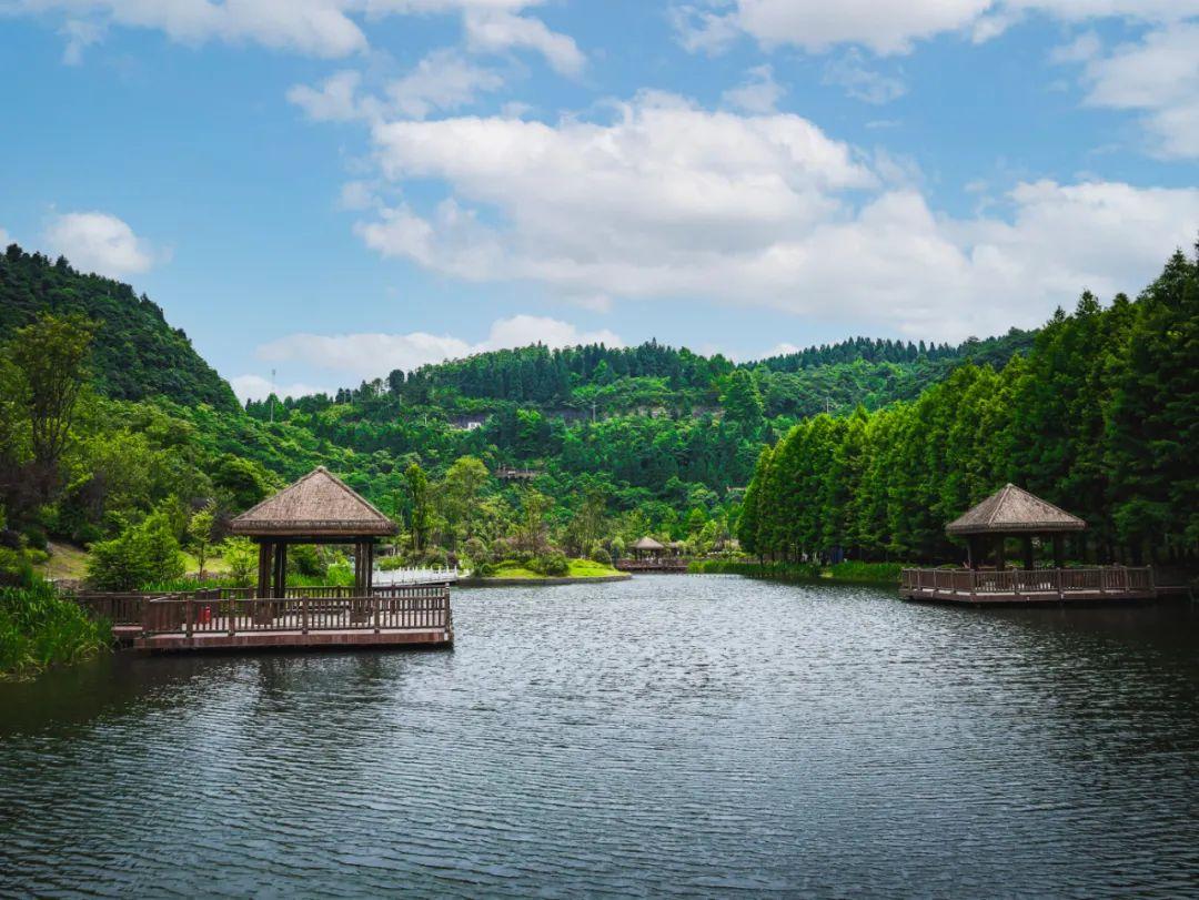 夏天的浪漫,是正安九道水送你一场 19℃ 的清凉美梦! - 知乎