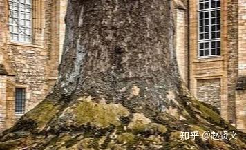 赵贤文:《道德经》中归根曰静,静曰复命 八个字里的大智慧 - 知乎