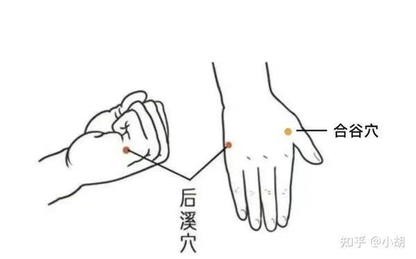 倪海厦针灸课笔记(9) 手阳明大肠经 - 知乎