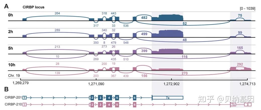干货指南｜一文教会你轻松掌握可变剪切结果的解读与运用 - 知乎