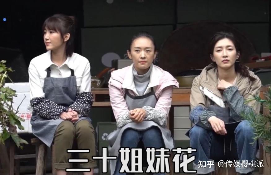 顾佳转行当保姆、王漫妮钟晓芹隐身,《三十而已2》官宣就惹争议 - 知乎