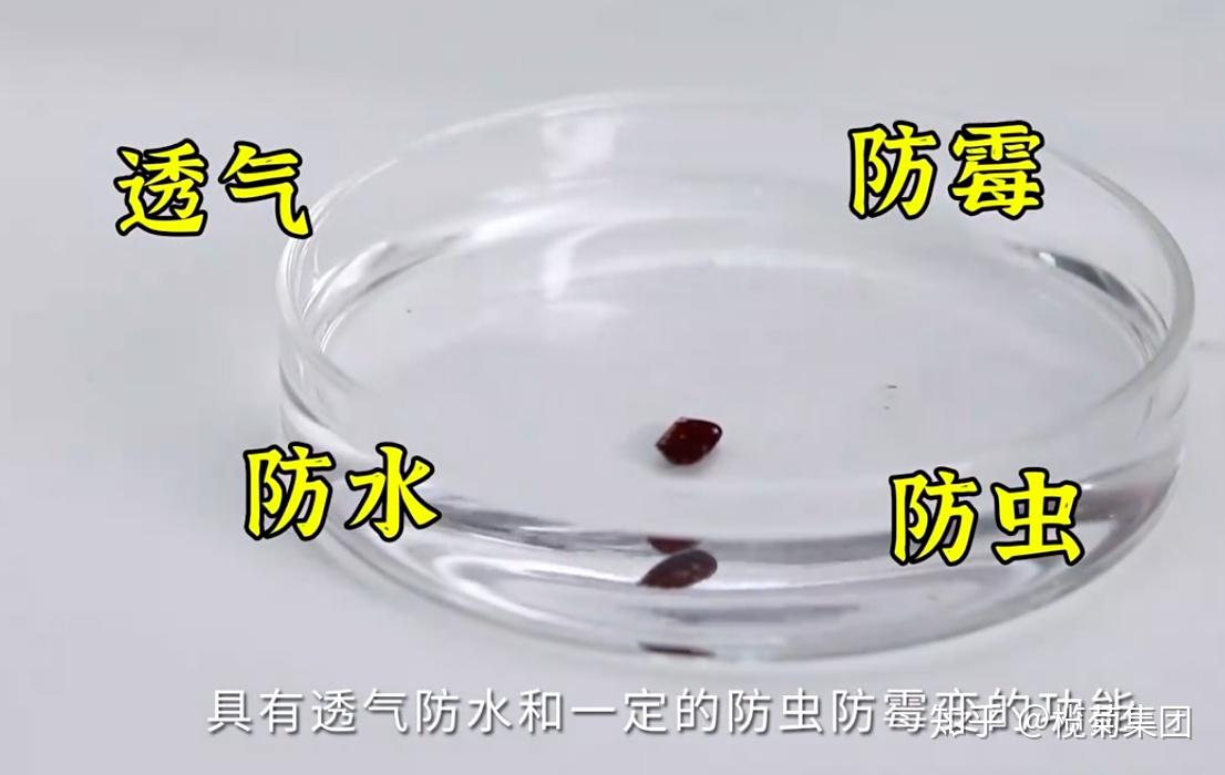 高能如果小孩子误食蟑螂卵鞘后果会怎么样