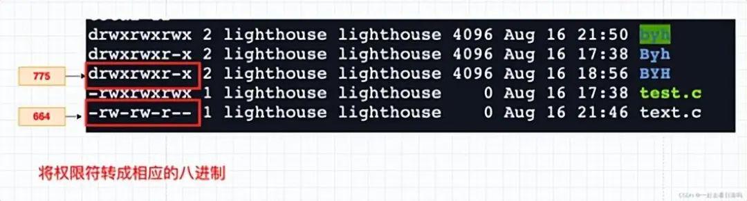 详解shell 运行原理及Linux权限 - 知乎