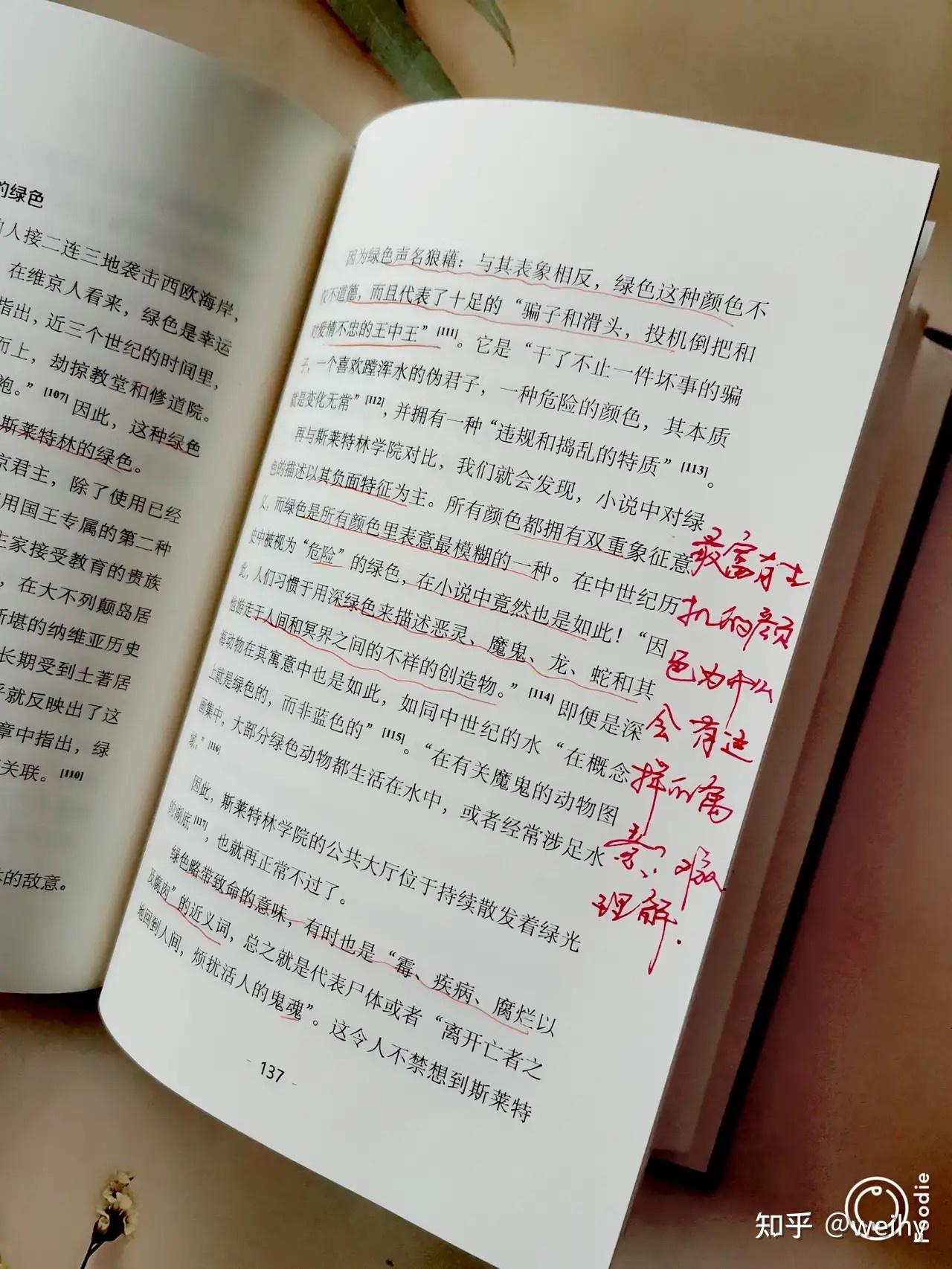 哈利波特魔法世界的秘密- 知乎