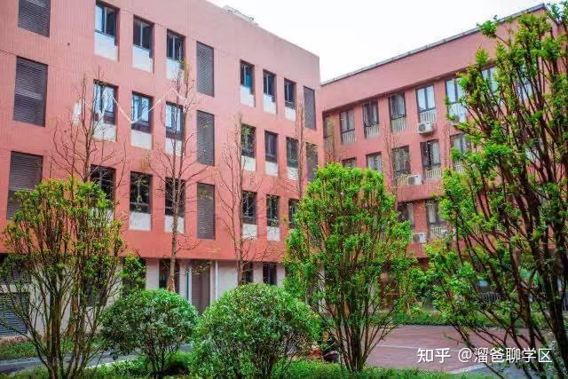 泡桐树小学天府校区最新踩盘报告