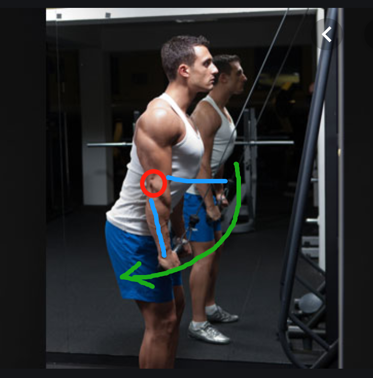 直杆 软绳臂屈伸