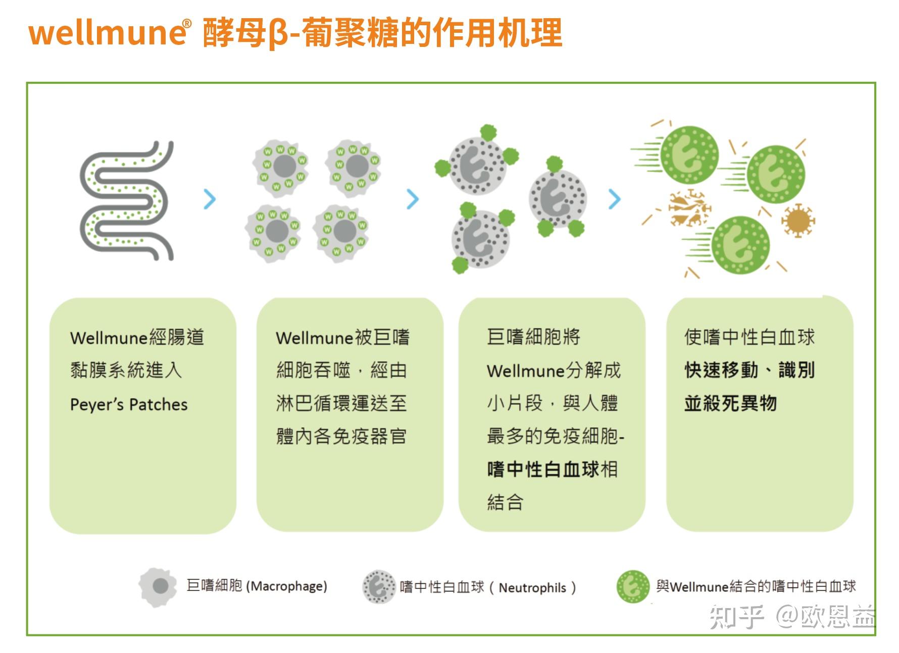 新资源食品wellmune03韦尔蒙β葡聚糖