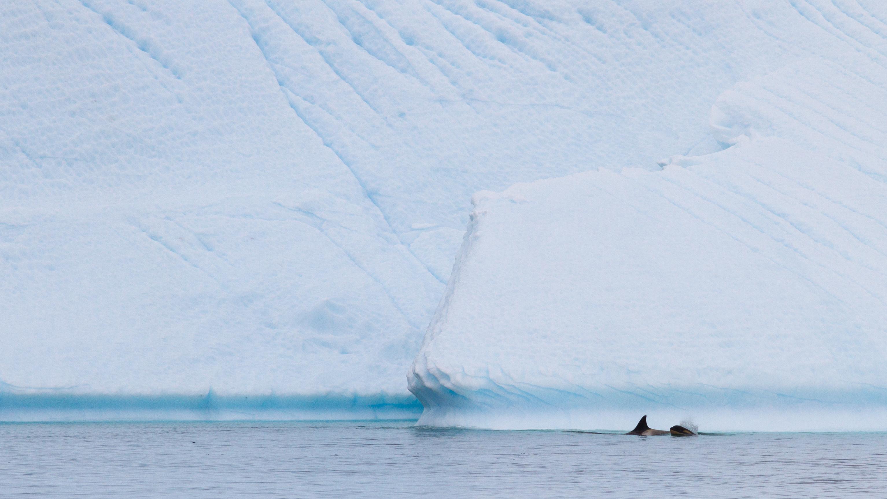 比宇宙更远的地方南方冰海