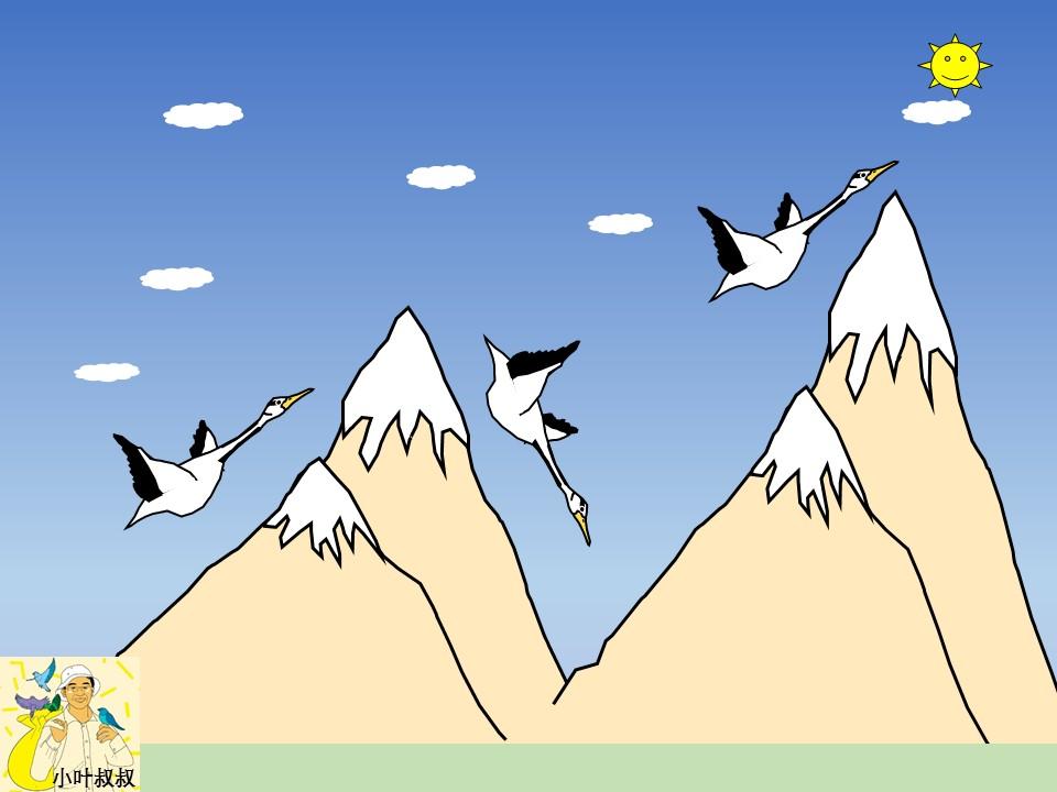 斑头雁迁徙飞越喜马拉雅山脉的策略