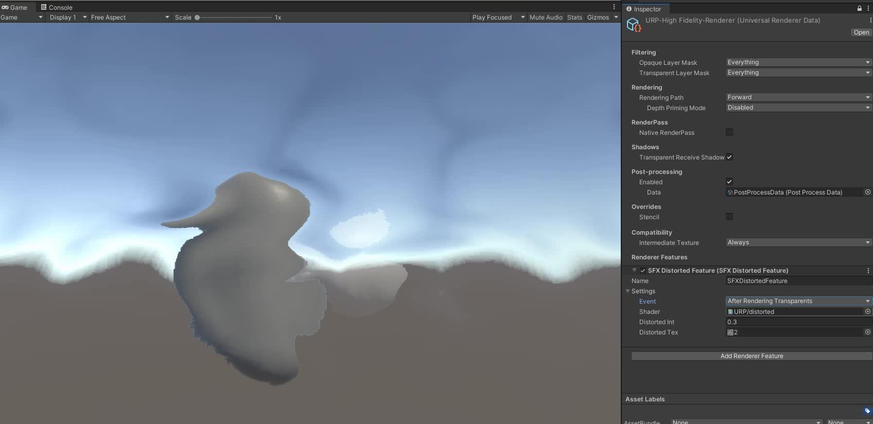 Rendererfeature 