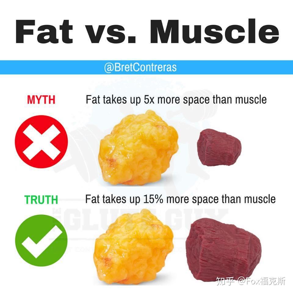 1kg Vs 1 Lb