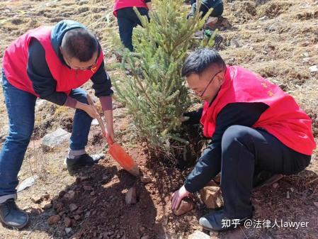 信之源(江达)律师事务所周广宇律师参加当地义务植树活动 - 知乎