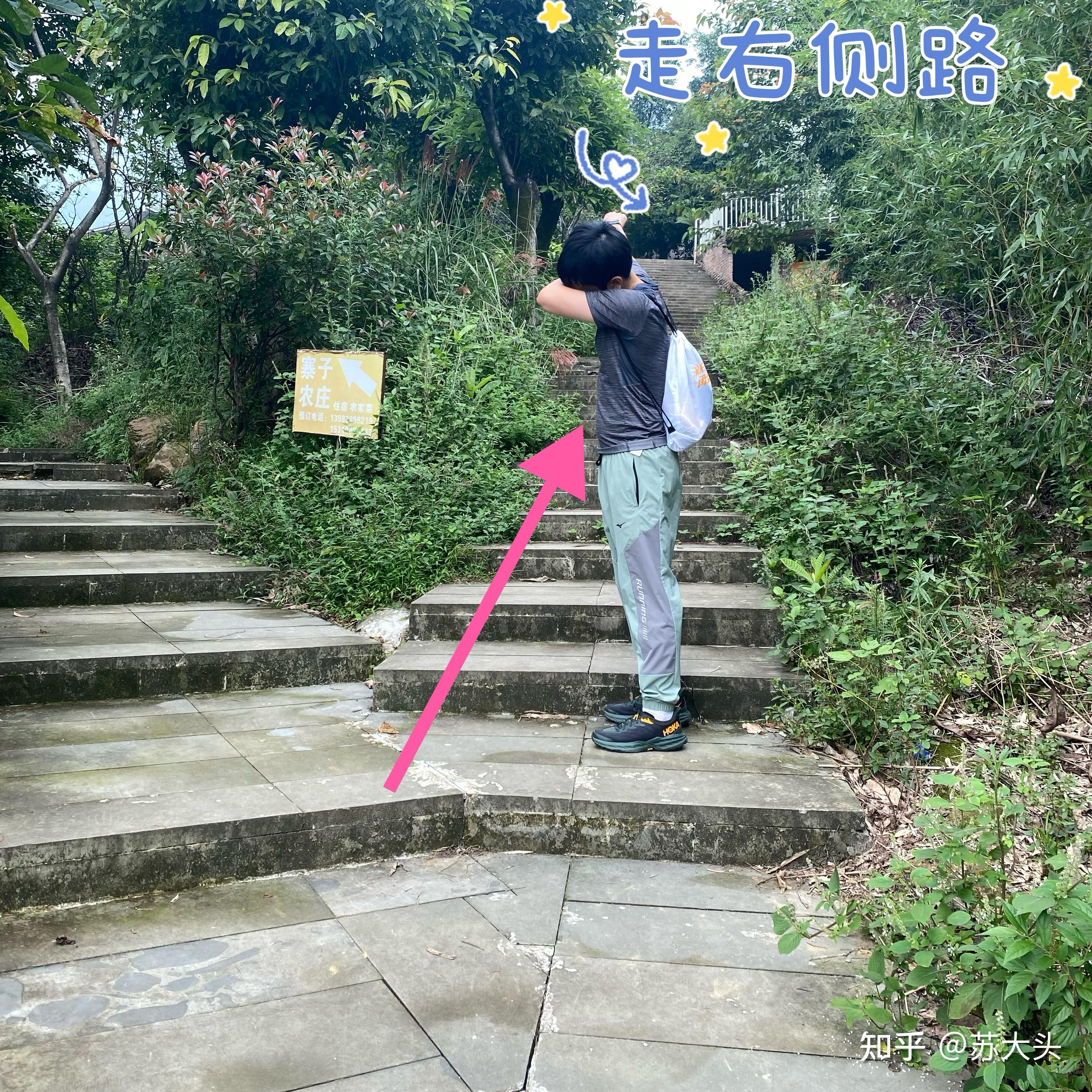 重庆徒步爬山圣地：缙云山免门票上山详细路线指引 - 知乎
