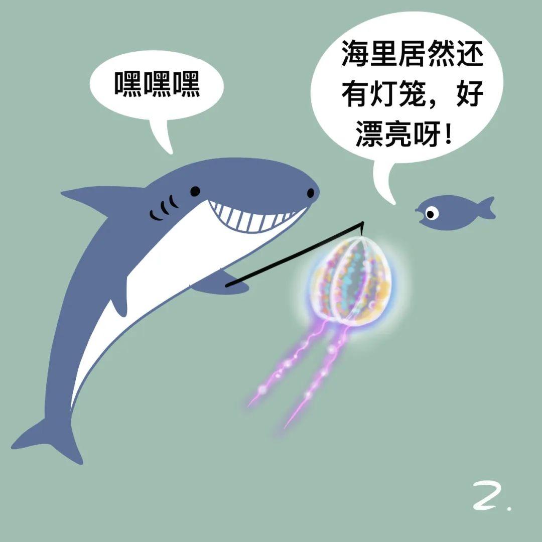 科普漫画 | 没有刺细胞的栉水母如何捕食？（作者：刘萍） - 知乎