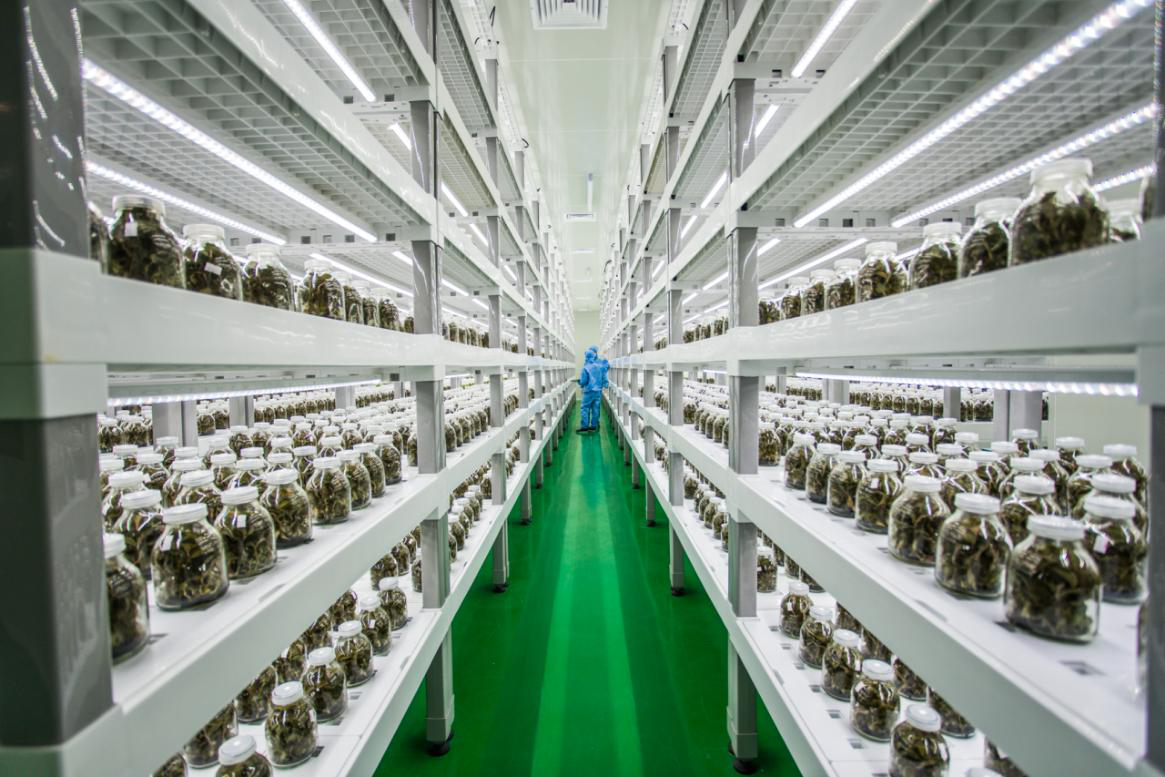 中科三安植物工厂 67 已认证的官方帐号 27人 赞同了该文章 今年3