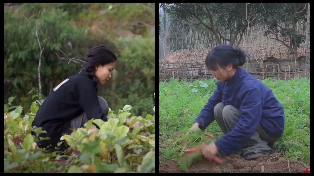 曾经b站当红财经up主"巫师财经"也被爆洗稿,游戏区偷拍敖厂长曾在2018