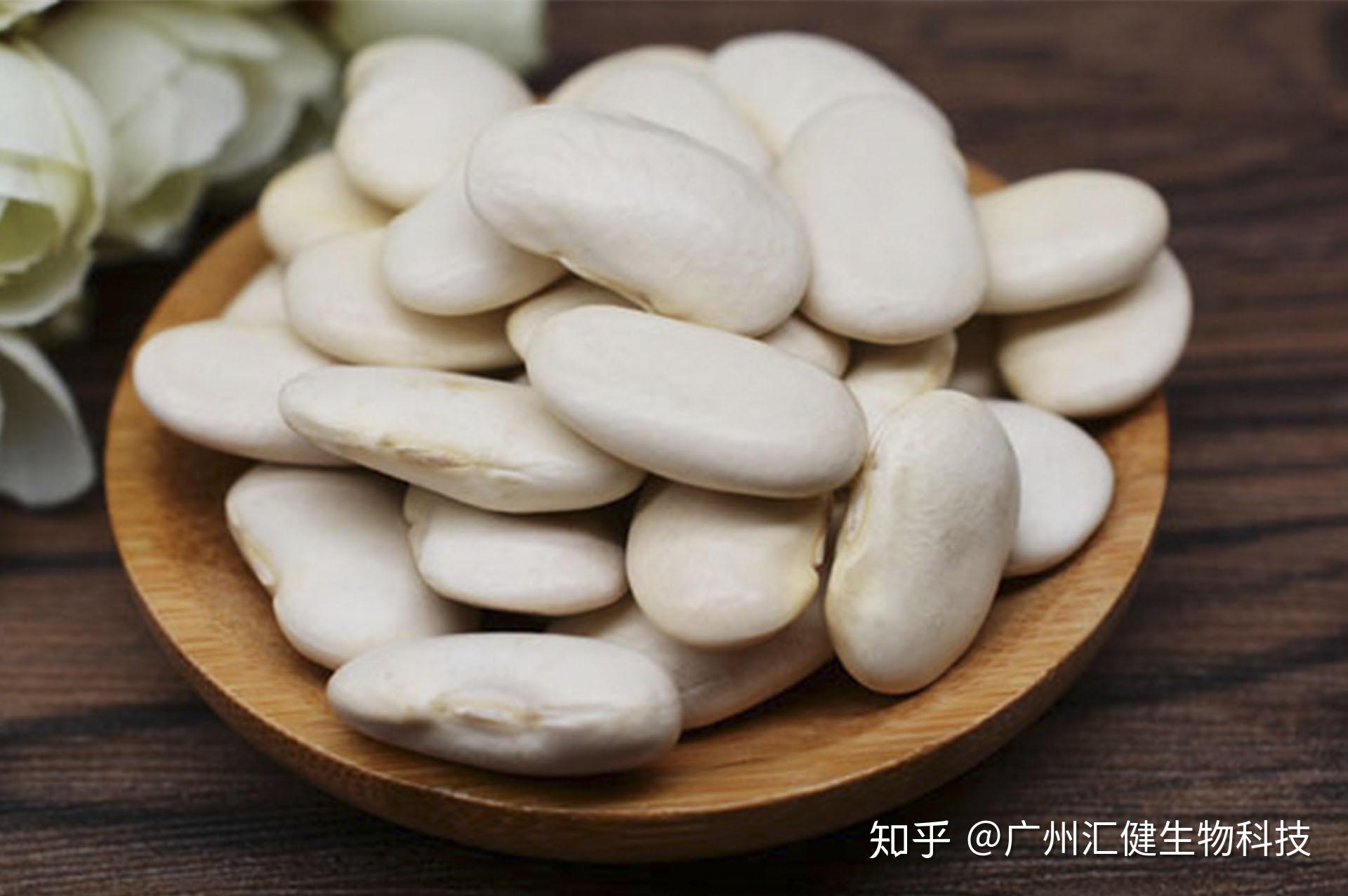 白芸豆-云南康洲生物科技有限公司