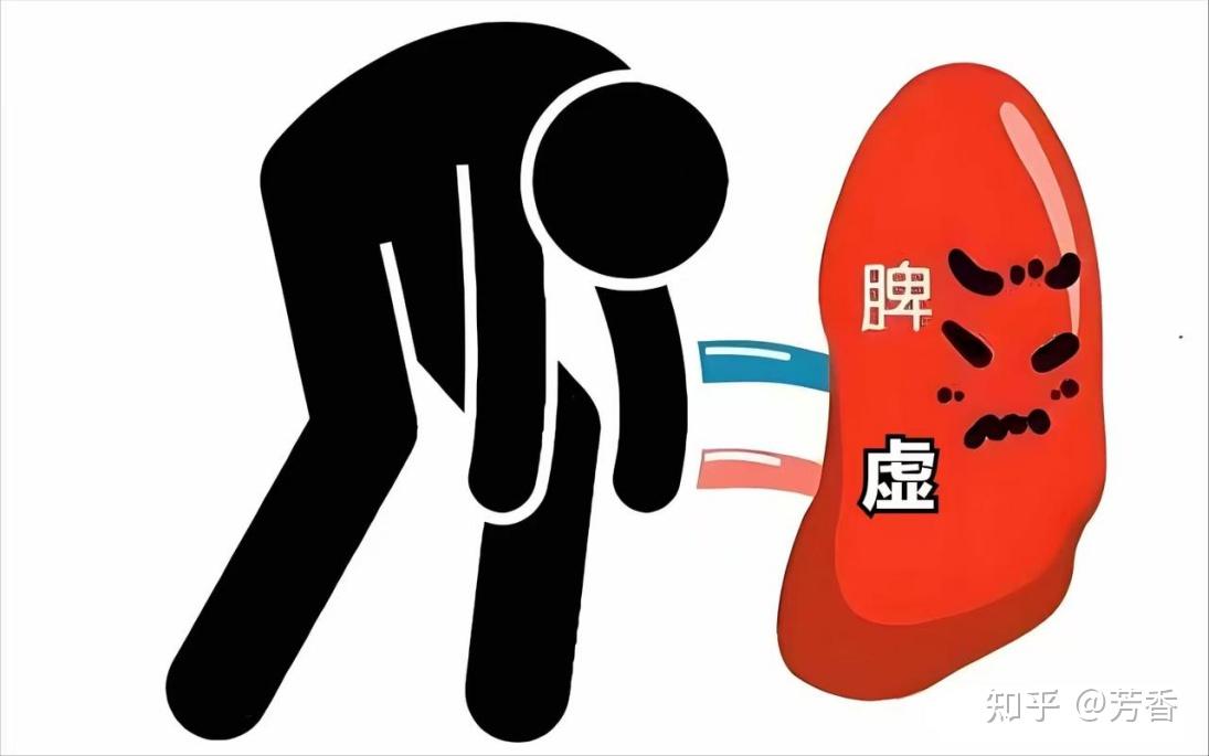 心脾两虚别硬撑！归脾丸调补双虚，解决失眠食少难题 - 知乎