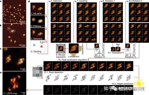 《Nature》重磅:超高分辨率的定位原子力显微镜(AFM)! - 知乎