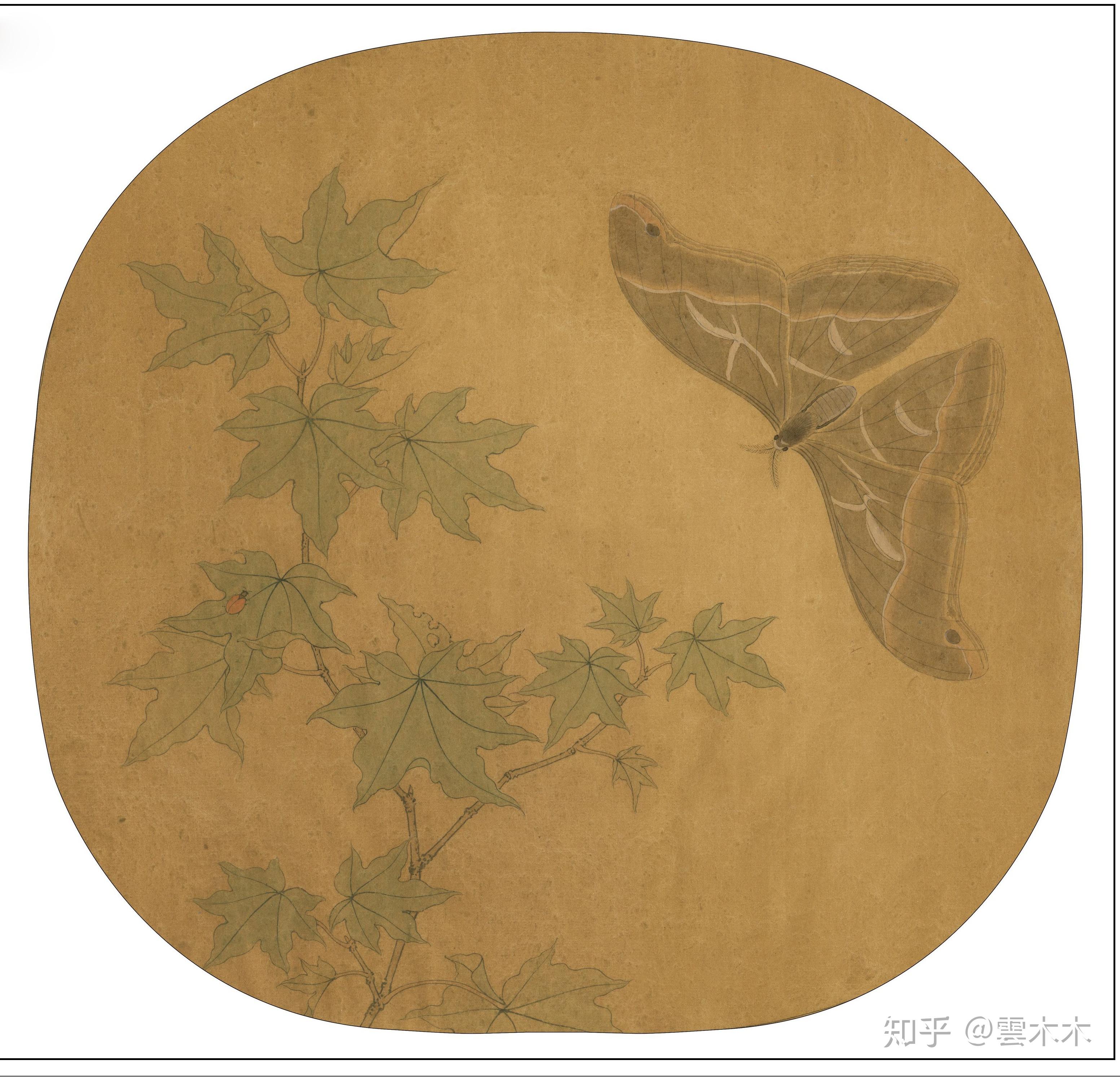 宋小品工笔绘画(蝴蝶)步骤图 - 知乎