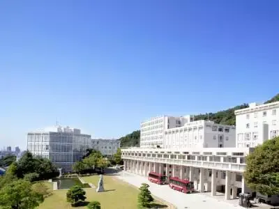 日本哪所大学最 名媛 知乎