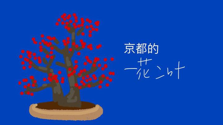 京都下鸭神社葵祭的葵 到底是什么葵 知乎