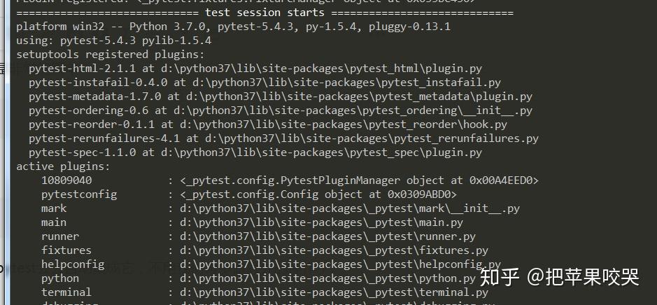 pytest-pytest-plugin