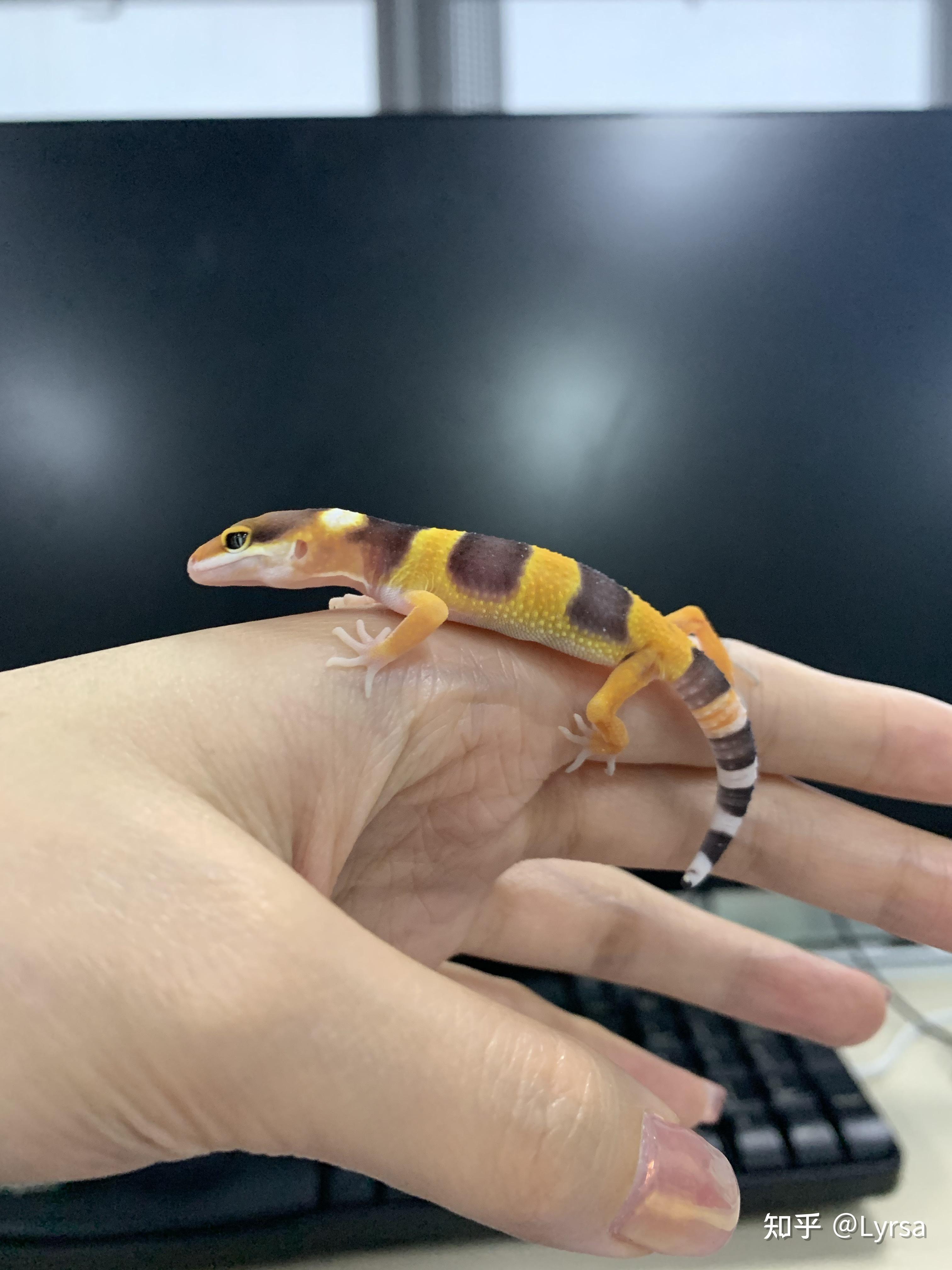 养电橘第一天 - 知乎