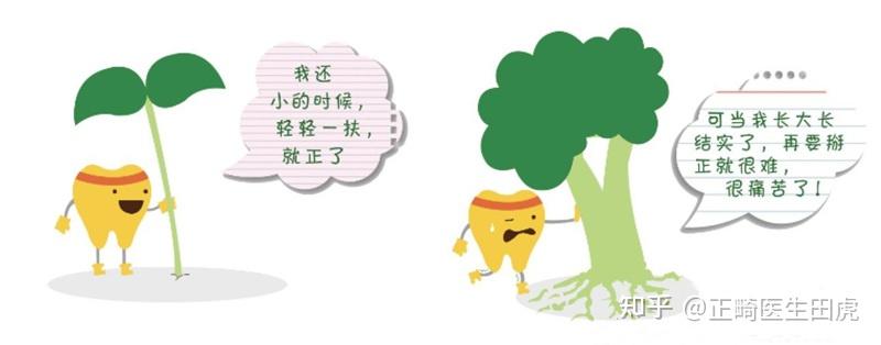 牙齿的生长发育,就像小树一样,如果一开始没有从正确的方向长出,我们