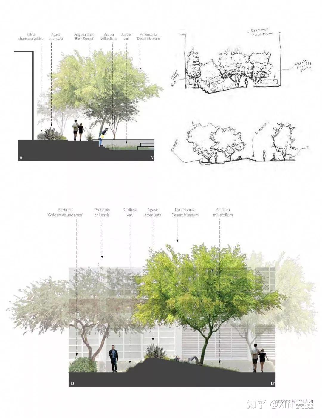 湿地公园项目|空间|景观设计|LEO景观设计 - 原创作品 - 站酷 (ZCOOL)