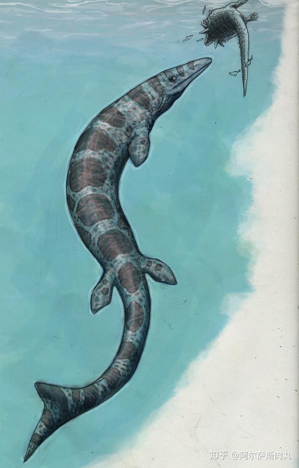 一些失足落入水中的恐龙尸体成为硬椎龙唾手可得的食物.   :devantart