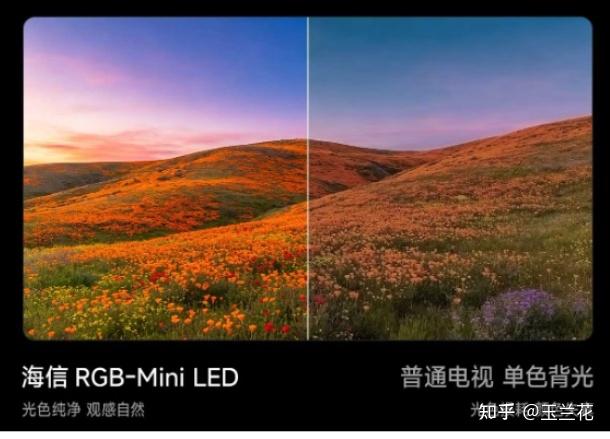 618买电视,除了到手价还该算什么账?把画质、电费、眼部健康都考虑上,RGB-Mini LED和SQD-Mini LED哪个更有“全生命周期性价比”?一文解惑
