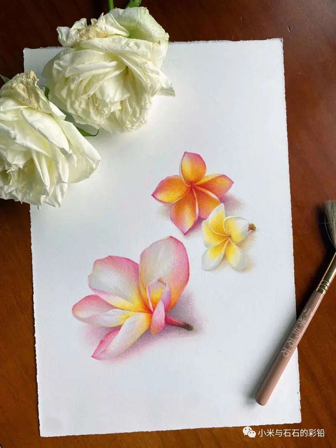 彩铅教程18个步骤教你画出立体的栀子花