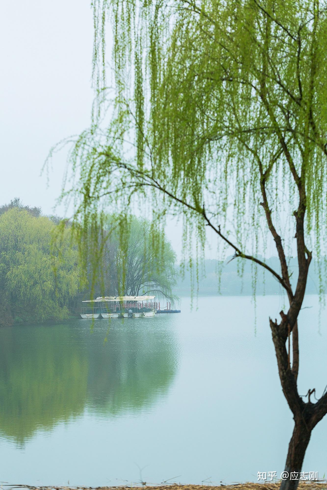 苏州这个被联合国点赞的湿地公园美成了初春的一幅水墨画