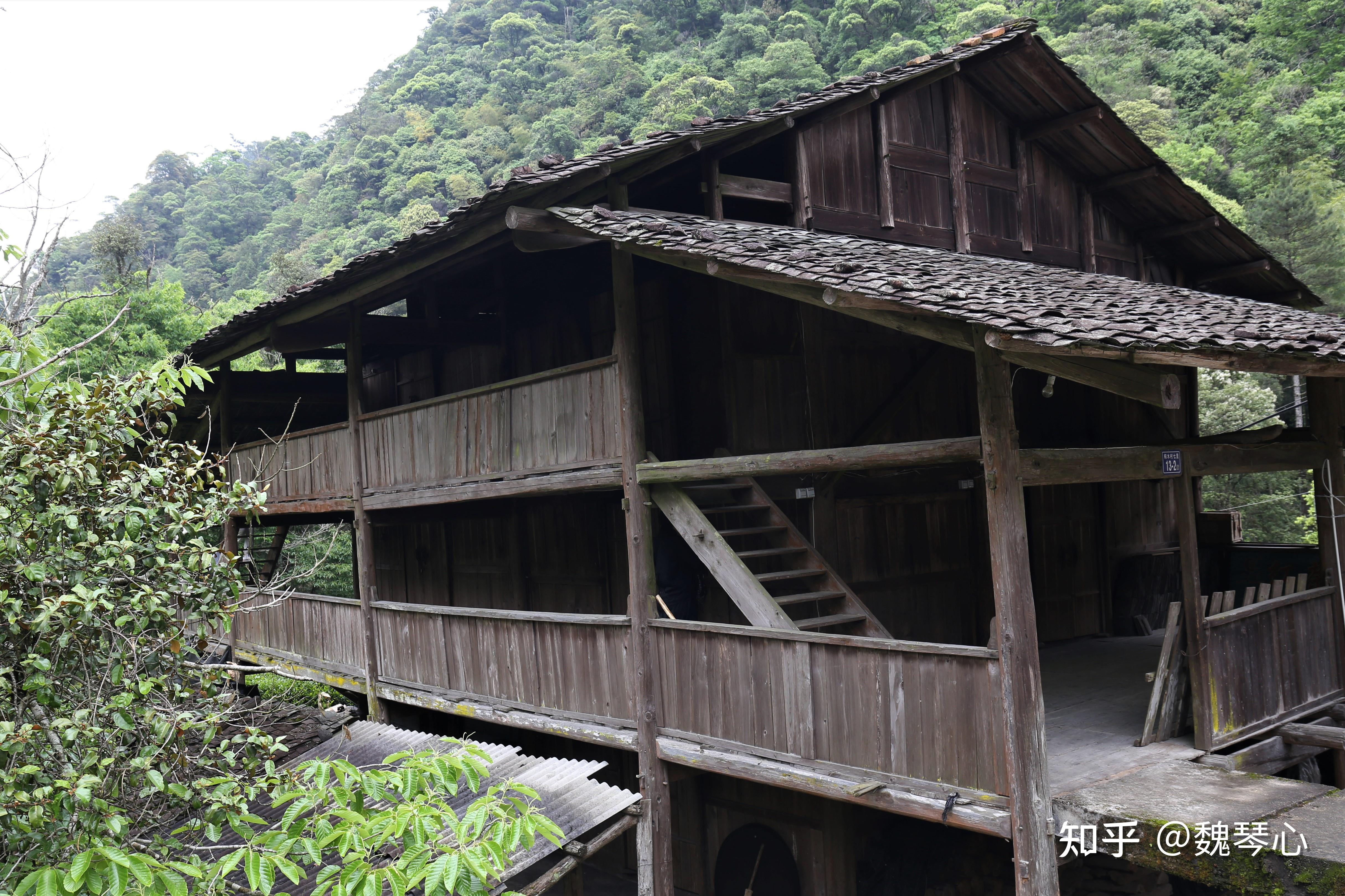 星村镇上行即是桐木村,下行则是著名的武夷山风景区