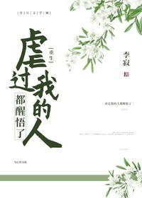 图标