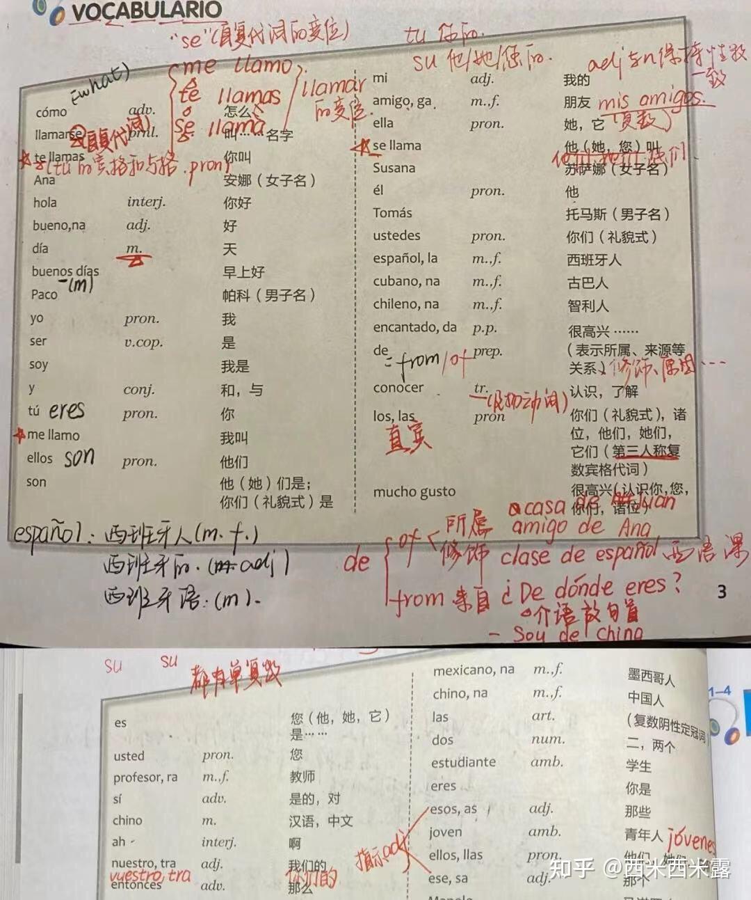西班牙语报不报班?自己学可以吗? - 知乎