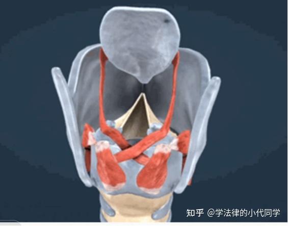 如何拥有“好的声音”附练习方法 - 知乎